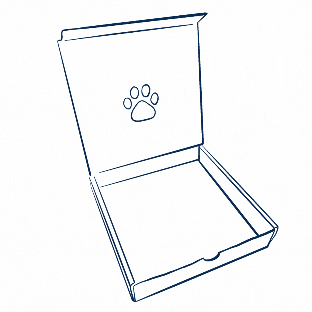 Rainbow Box PLUS