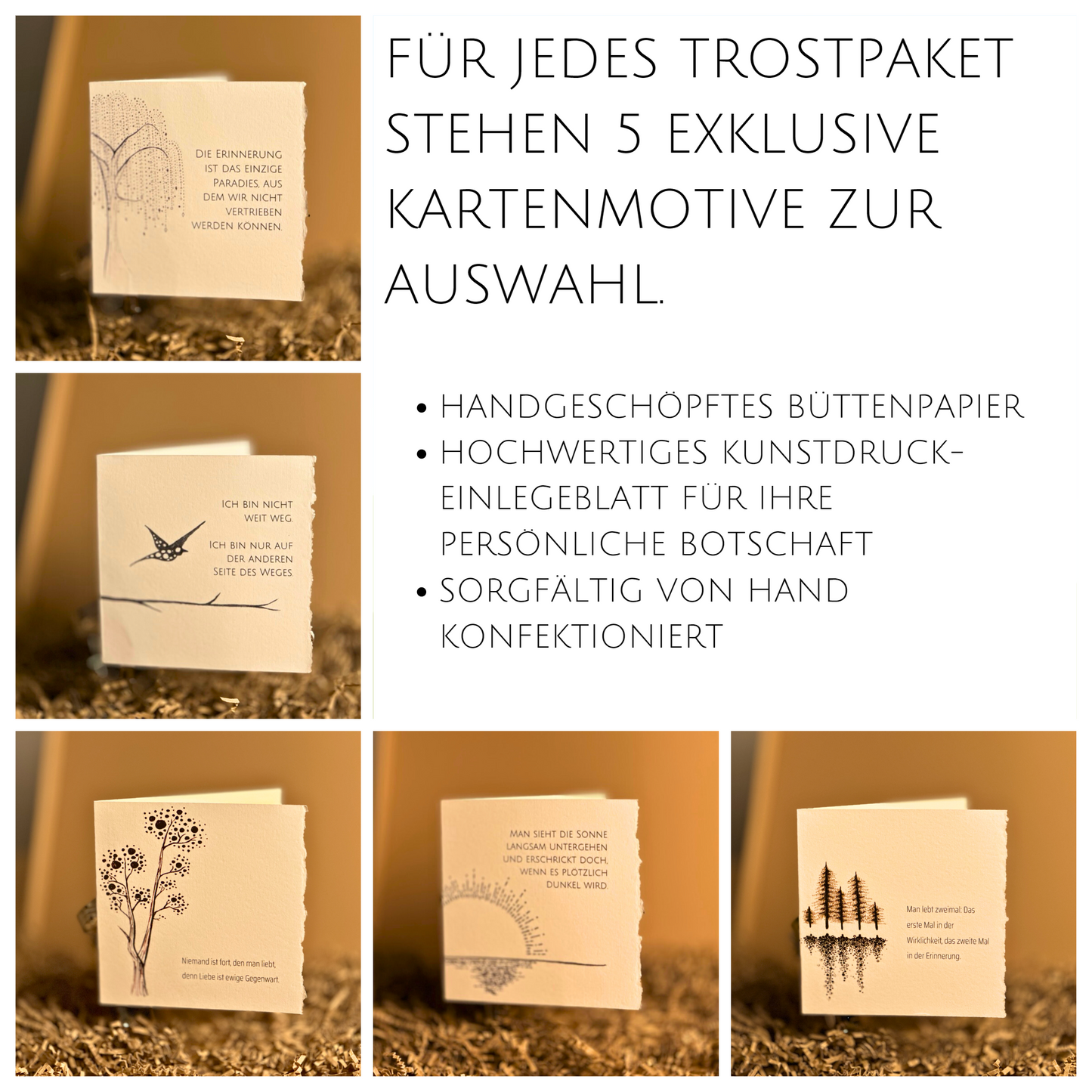 Trostpaket Schmetterlingsgarten