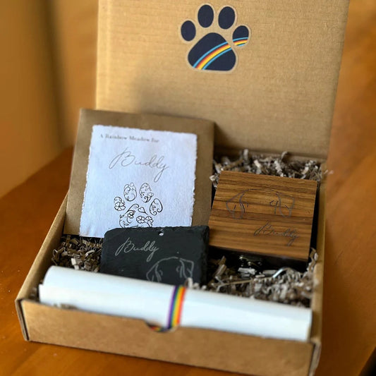 Rainbow Box PLUS