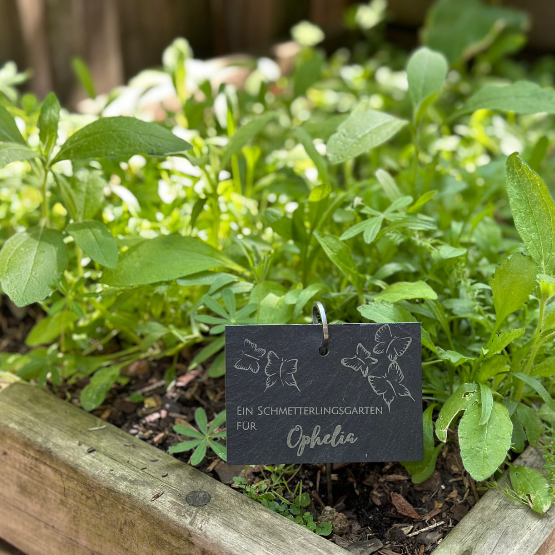 Trostpaket Schmetterlingsgarten